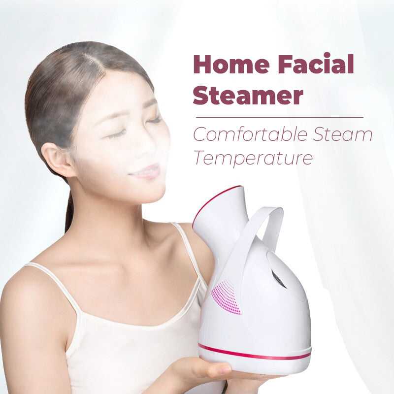 New Dual-Spray Facial Steamer