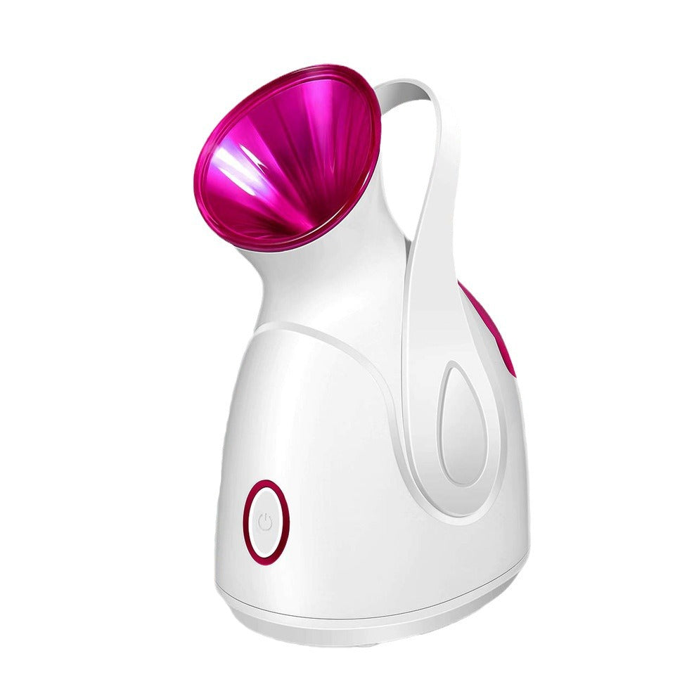 New Dual-Spray Facial Steamer